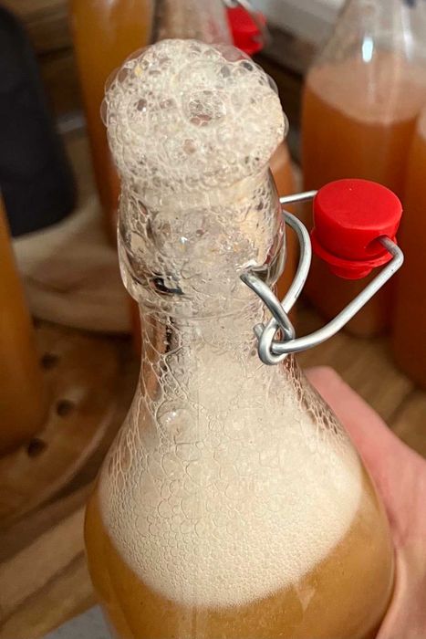 Воден кефир (Water kefir grains) – жива култура за пробиотична напитка