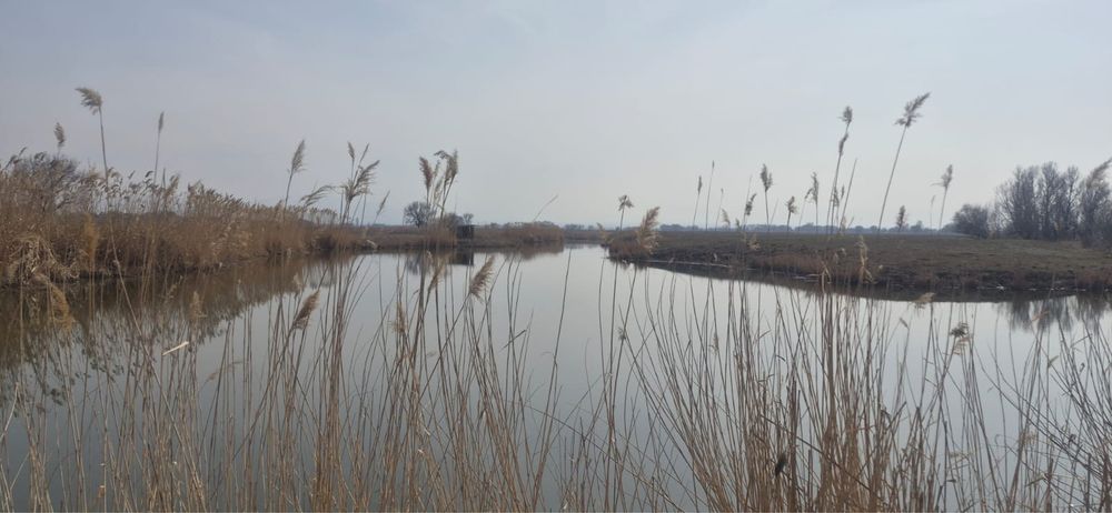 Рыбалка и дом с баней за городом