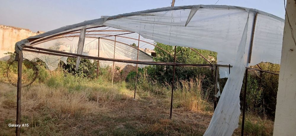 Parnik sotiladi Surxondaryo viloyati Oltinsoy tumanida