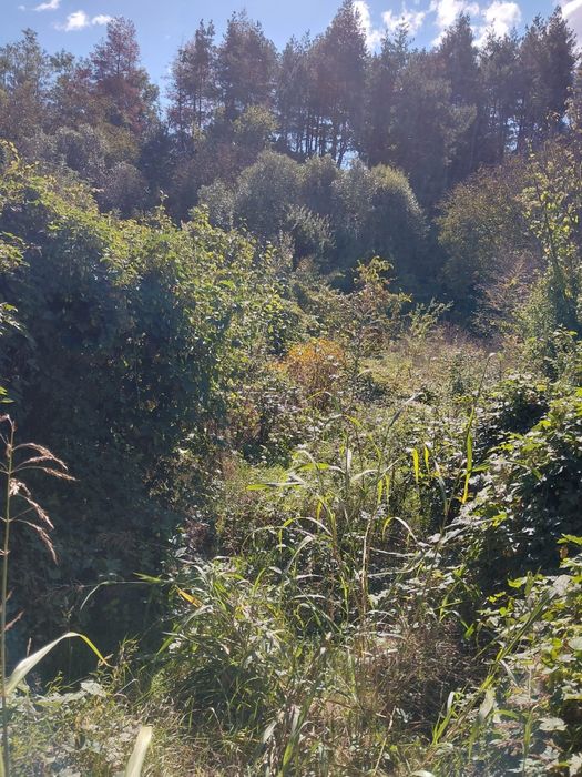 Casă 6 camere + teren 1200 mp, gazele la poartă, Merișani (Valea Boierească) – 20 min de Pitești