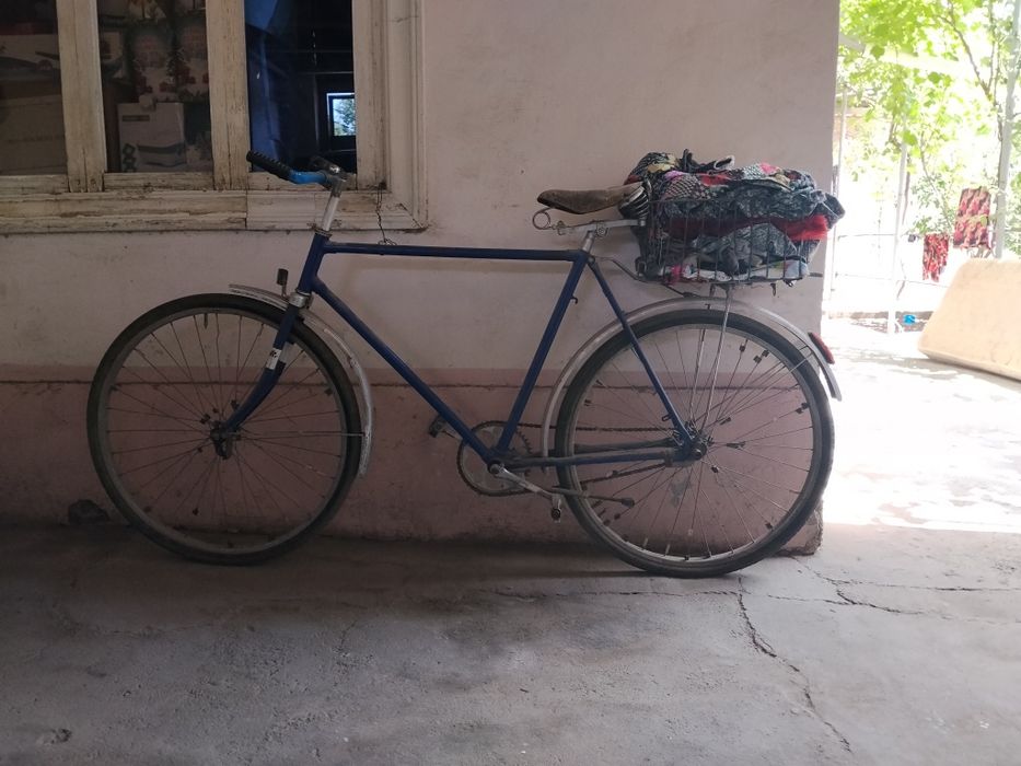 28 ural arginali