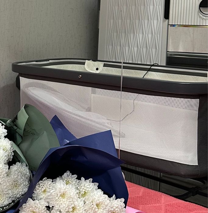 Электронный манеж