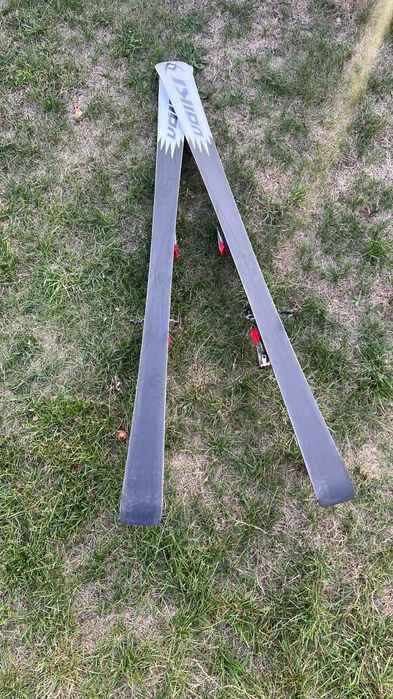 Schiuri Volkl Racetiger SPEEDWALL Sl