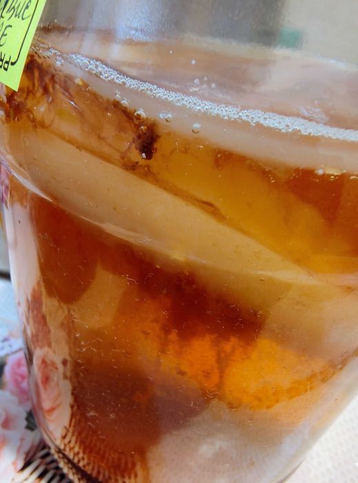Kefir de apa de lapte Kombucha