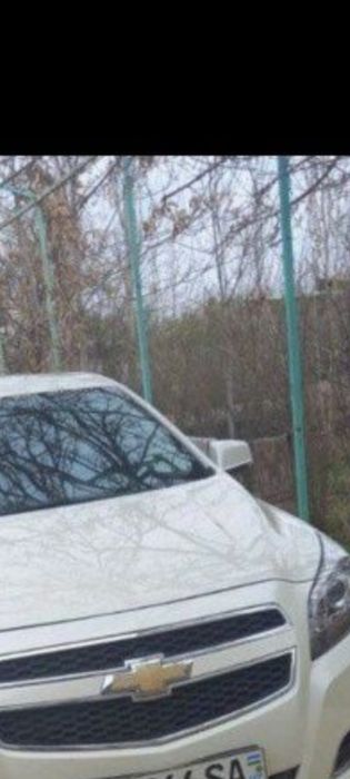 Malibu  metanda holati zur