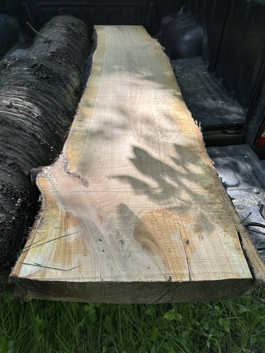 Nuc si cires / blaturi lemn masiv