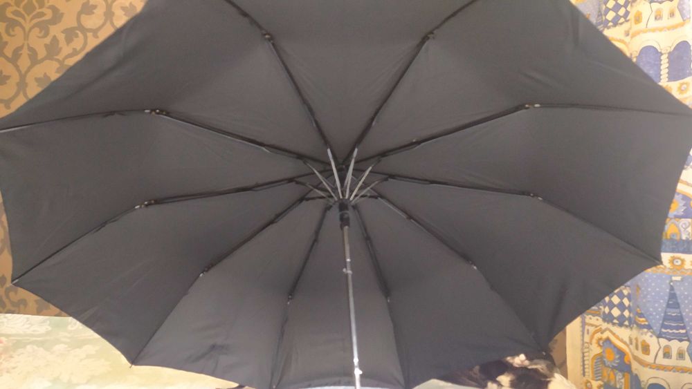 Зоонт от дождя, черный, полуавтомат