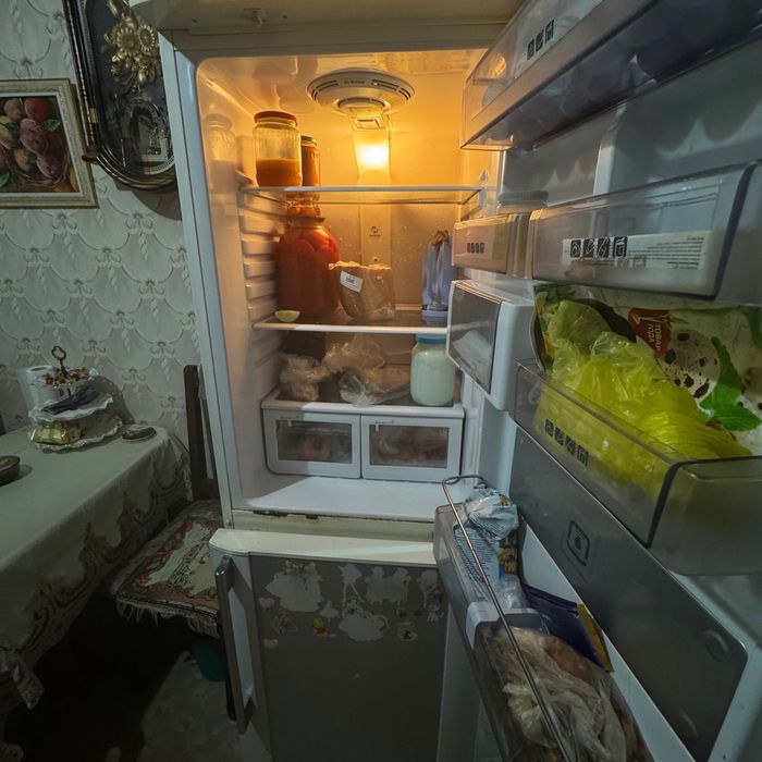 Холодильник SAMSUNG RL28DATS