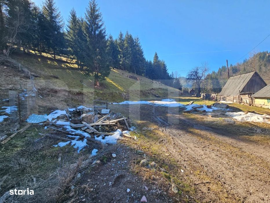 Teren de vanzare – 2.977 mp, intravilan, Scarisoara