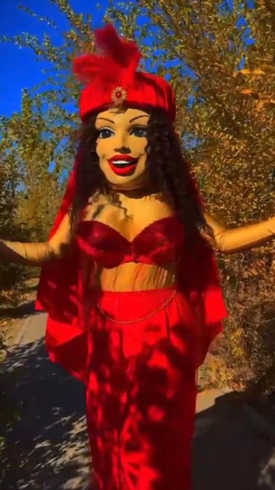 Аниматоры звездные