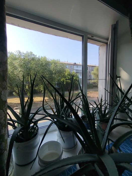 Общежитие  двух-комнатное