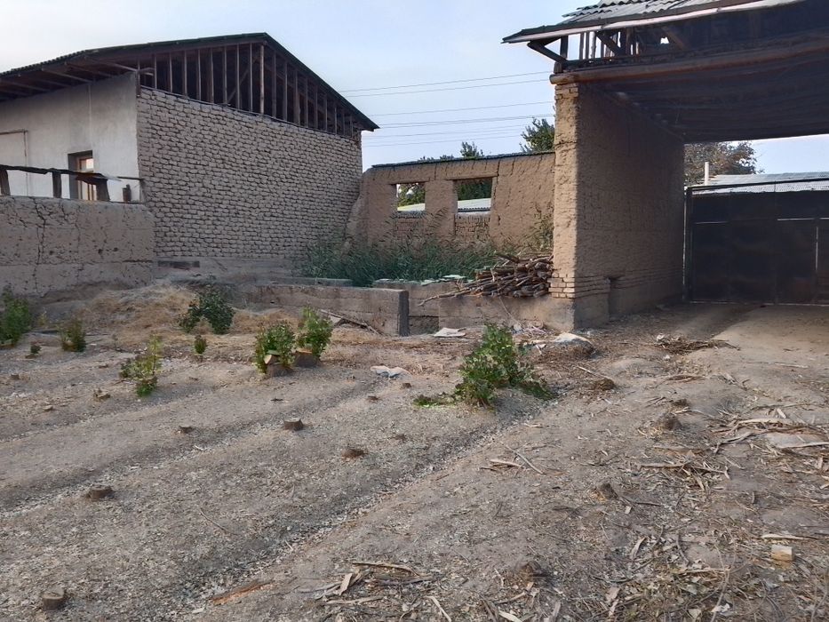 Zangiota hovli sotiladi