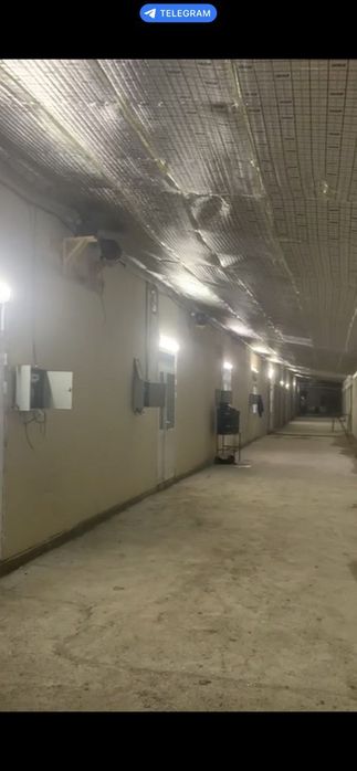 Уй сотилади 36 сутик