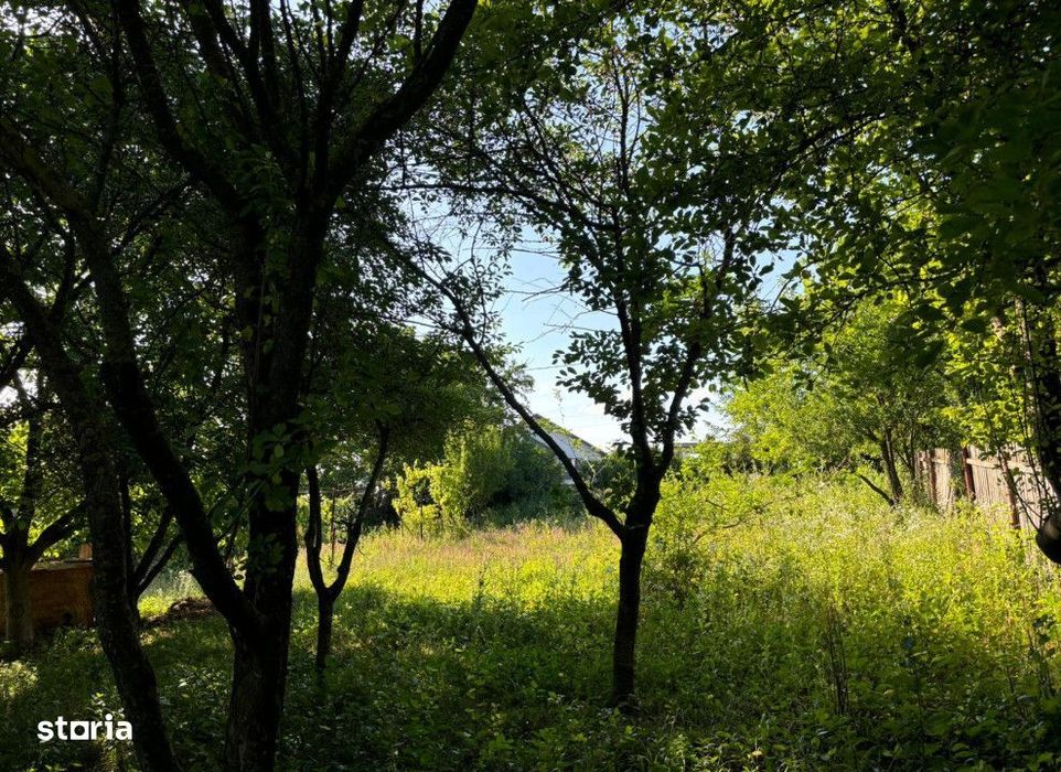 Teren intravilan Valea Adanca , 2540 metri Cod:155291