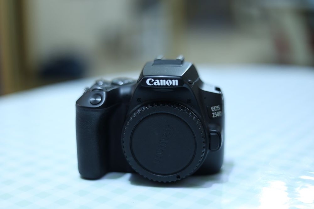 Фотокамера Canon eos 250d EF-S 18-55 IS STM Kit