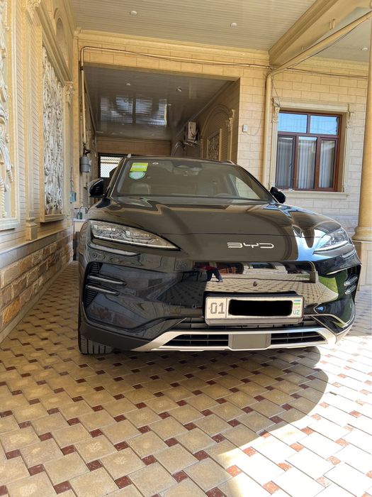 BYD champion 605 km 23.900 $   76.000 km probeg