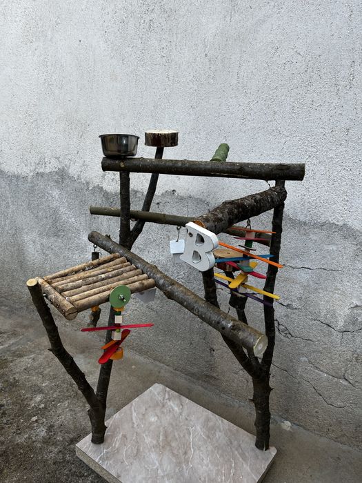 Кацалка за папагал