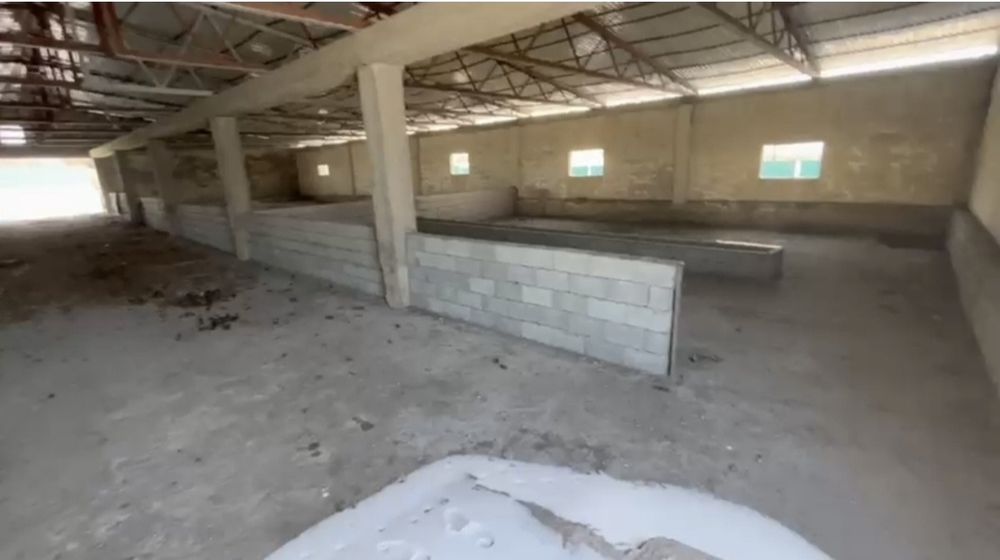 Продается бизнес ( готовая ферма)