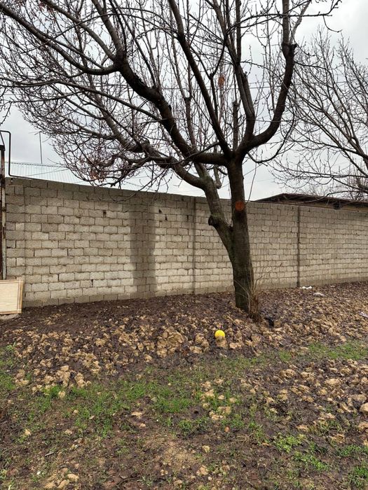 Продаю свою землю