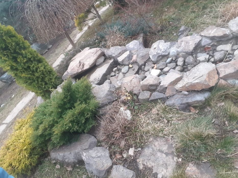 Ландшафтный дизайн, газон