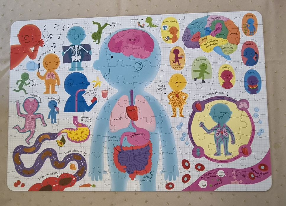 USBORNE Book & Jigsaw: The Human Body