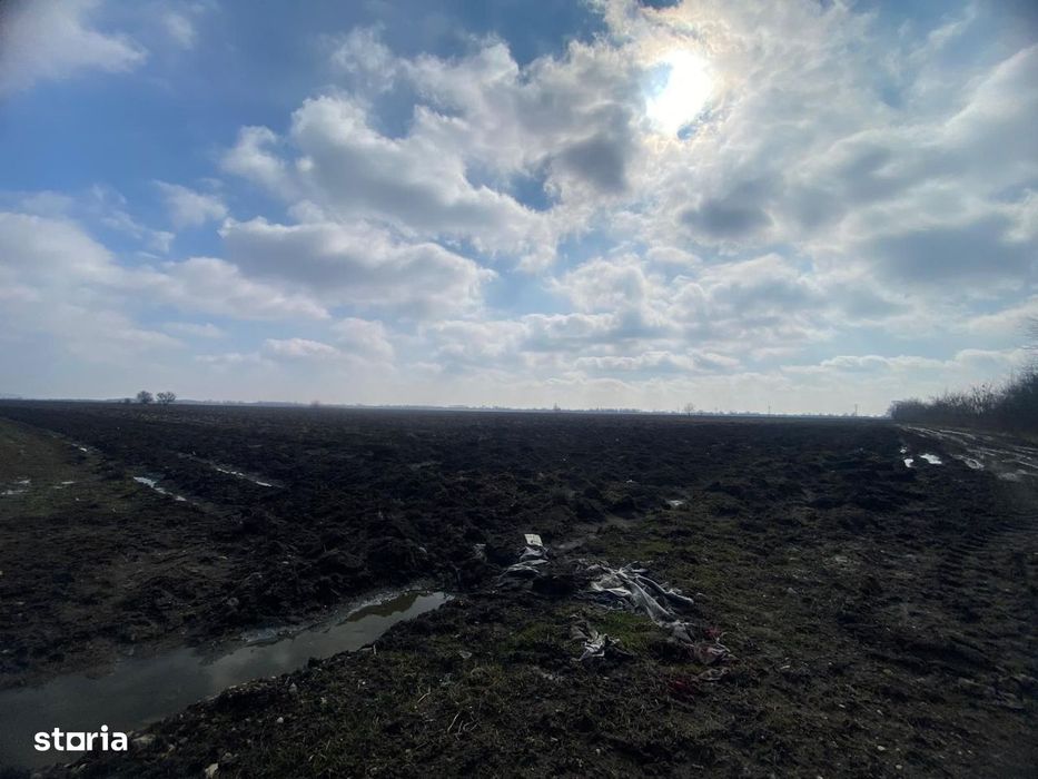 Oportunitate!Teren de vânzare – Comuna Răzvad, Sat Valea Voievozilor