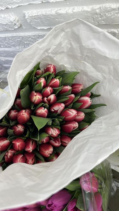 Тюльпаны Темиртау