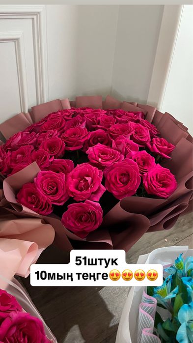 Роза гулдер  51,