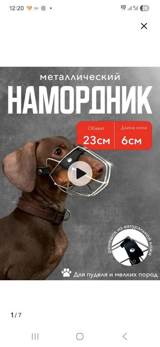 Намордник для собаки средних размеров