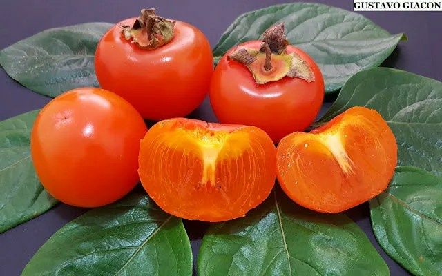 Kaki (Soiuri Diferite )
