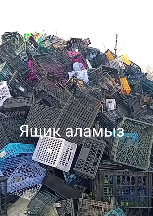 Приём  макулатура Картон Ящик Бакалашка Шланг