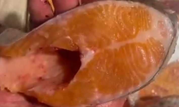 Форель свежая Алматинская