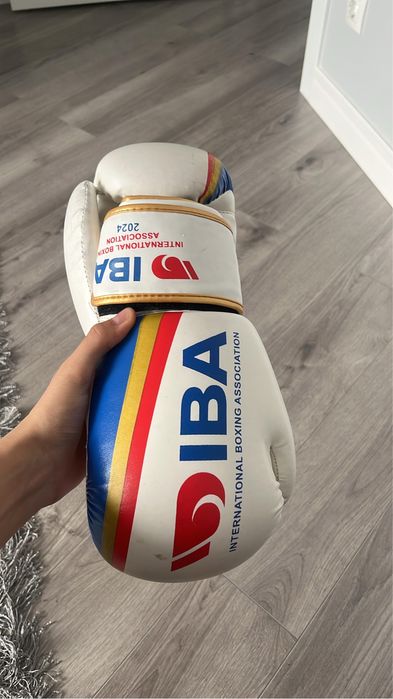 Боксерские перчатки иба