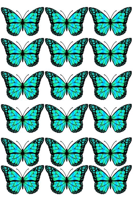 Guldasta uchun kapalak rasm