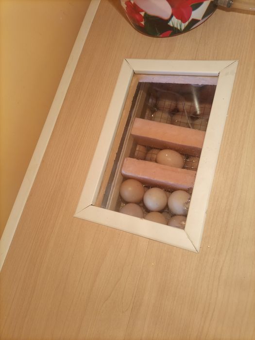 Инкубатор сотилади