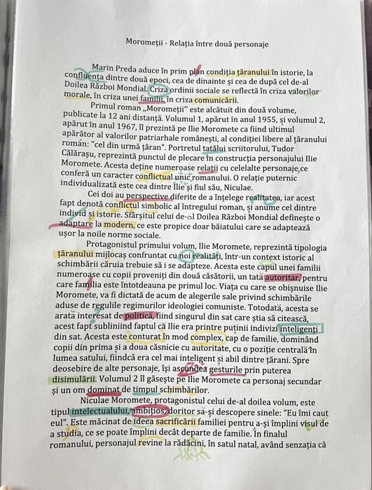 Portofoliu materie pentru Bacalaureat limba română