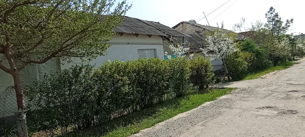 СРОЧНО ПРОДАЕТСЯ участок в Кибрае