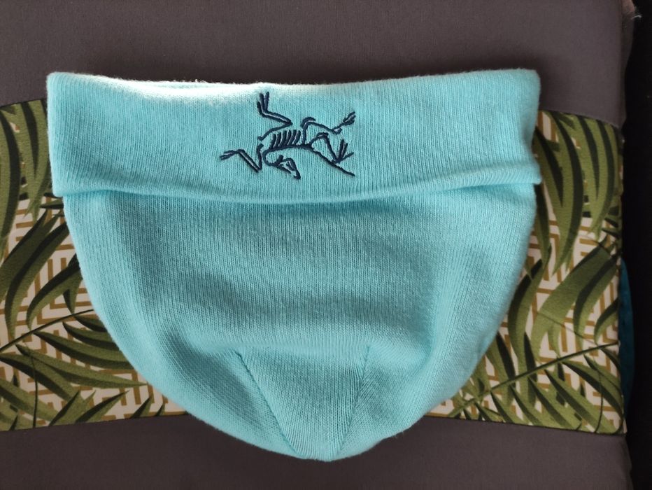 Caciula fes Arc'teryx