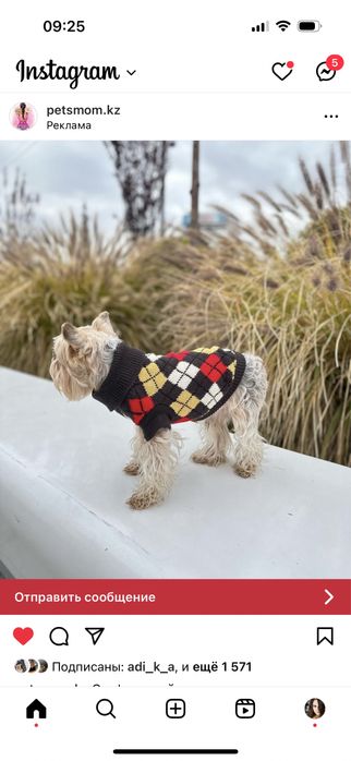 Новый свитер на собак и кошек