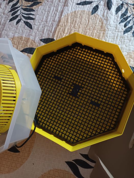 Incubator cu termometru