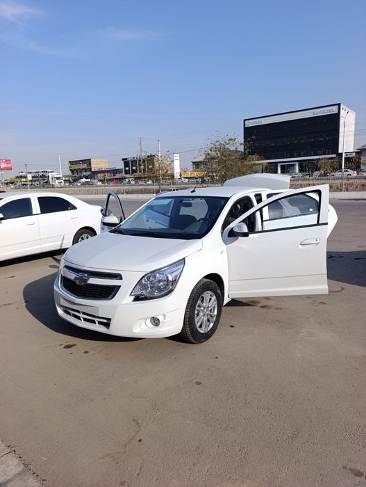 COBALT My Style MCM 2026