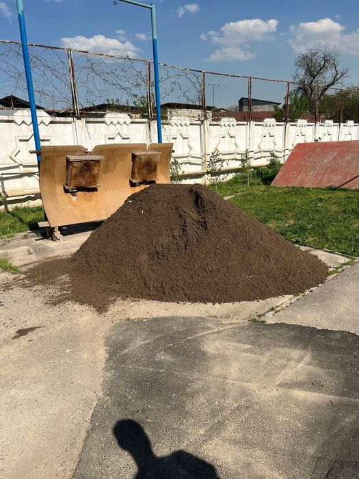 Клинец шебен кум. Кампот.
