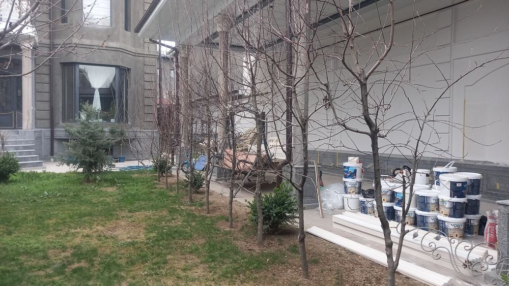 4 йиллик карлик олма  кўчатлари СРОЧНО! Арзон нархда сотилади!!