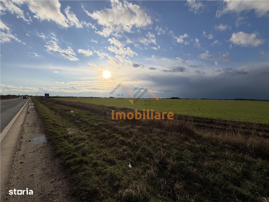 Teren Intravilan 24457 Mp | 80 Ml Front Stradal | Oradea | Bihor