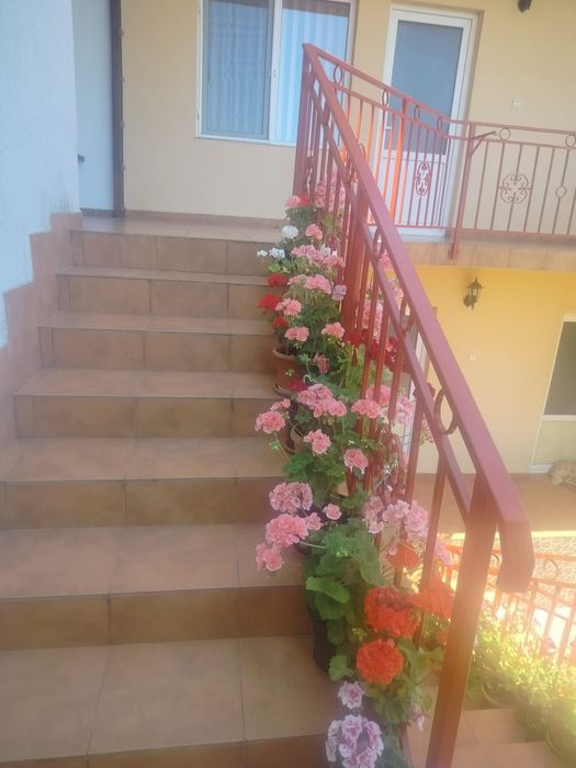Camere cazare Mangalia
