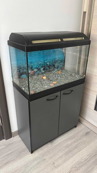Acvariu 63L cu mobilier – stare foarte bună