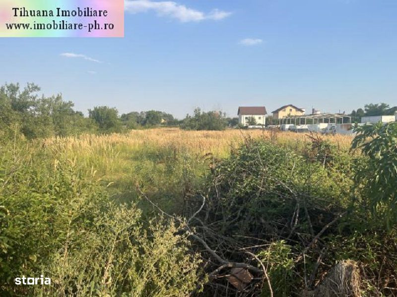 Teren de vanzare - Blejoi-(sat Ploiestiori)