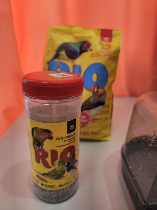 Птички амадины с клеткой