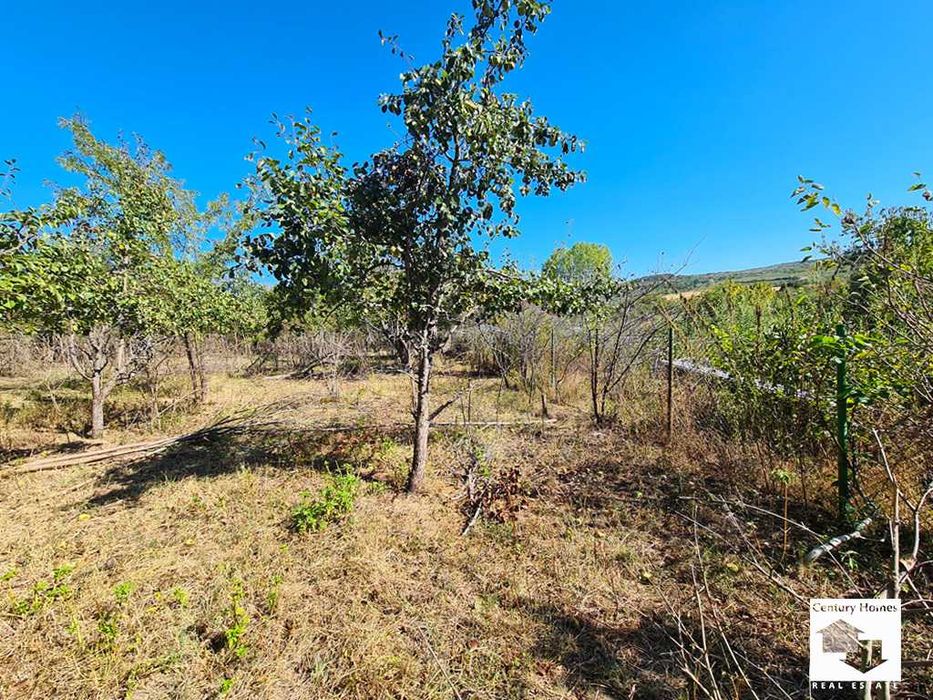 Продава се Парцел в с. Добри дял, Област Велико Търново - 1385 кв.м за 6 €/кв.м - Снимка #1
