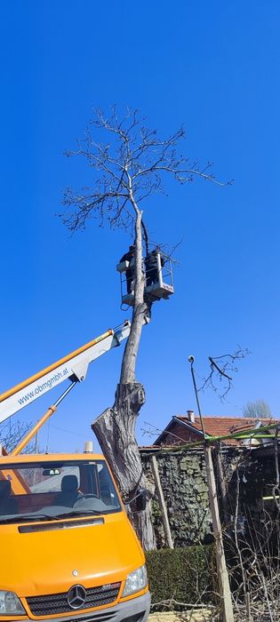 Продавам орех за материал